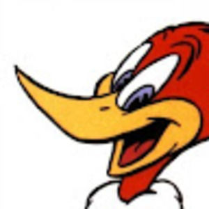 Meet your Posher, Woody woodpecker